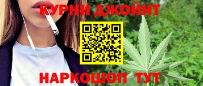трава Кингисепп