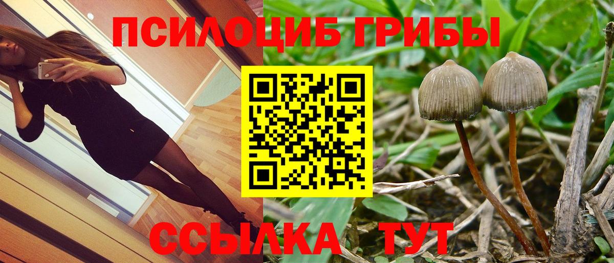 Галлюциногенные грибы прущие грибы  Галлюциногенные грибы GOLDEN TEACHER  Кыштым  Вход с VPN 